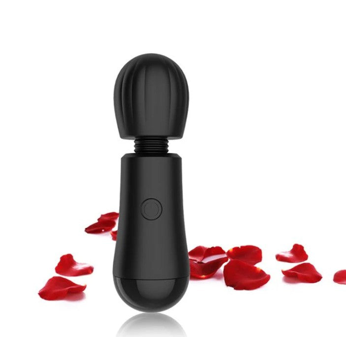 MASAJEADOR MINI WINYI MAX