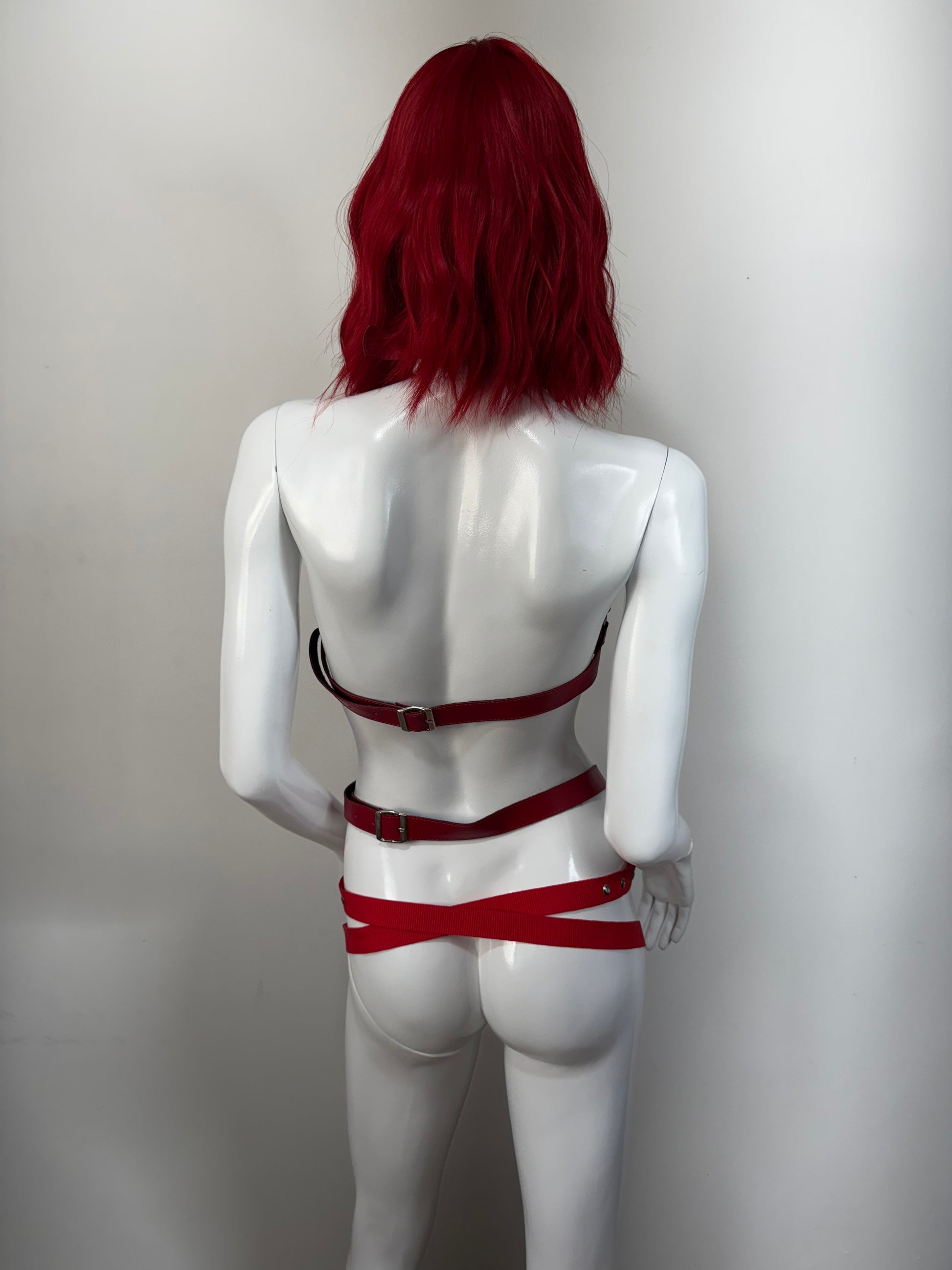 Arnes de cuerpo completo